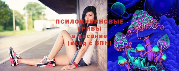 ECSTASY Каменногорск
