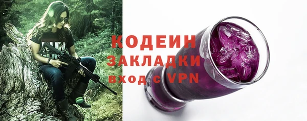 мдпв Бородино